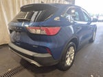 2022 Ford Escape Hybrid SE